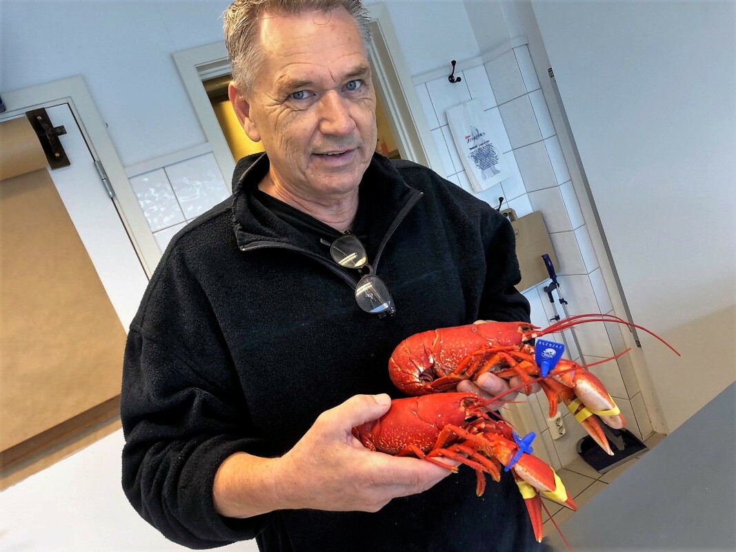 Skjærhalden Fiskemottak fikk en pangstart på hummersesongen. – Vi solgte hundre hummere den første helgen. Det er mye, sier Thoralf Huth, som eier og driver fiskemottaket. Skjærhalden Fiskemottak fikk en pangstart på hummersesongen. – Vi solgte hundre hummere den første helgen. Det er mye, sier Thoralf Huth, som eier og driver fiskemottaket.