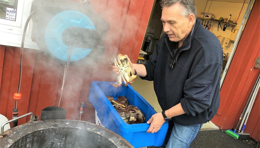 Her putter Thoralf krabbekokeren full av krabber som skal omsettes i Fiskemottaket og på Big Fish. Krabbene kommer rett fra sjøen. Her putter Thoralf krabbekokeren full av krabber som skal omsettes i Fiskemottaket og på Big Fish. Krabbene kommer rett fra sjøen.