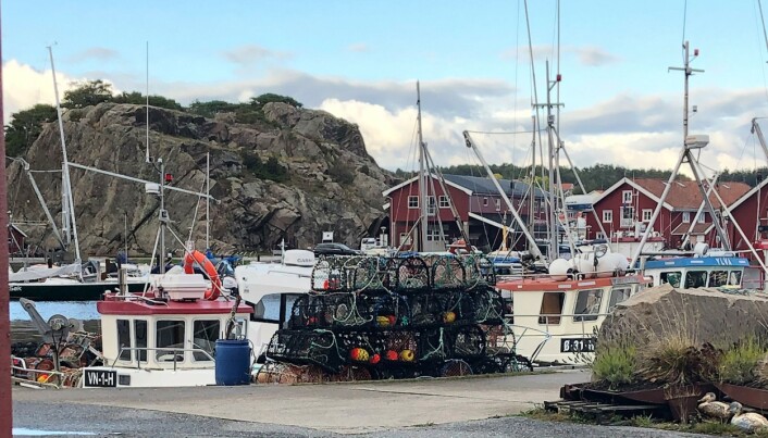 Redningsselskaper roser hummerfiskerne for sin ansvarlighet under høstens fangst. Redningsselskaper roser hummerfiskerne for sin ansvarlighet under høstens fangst.