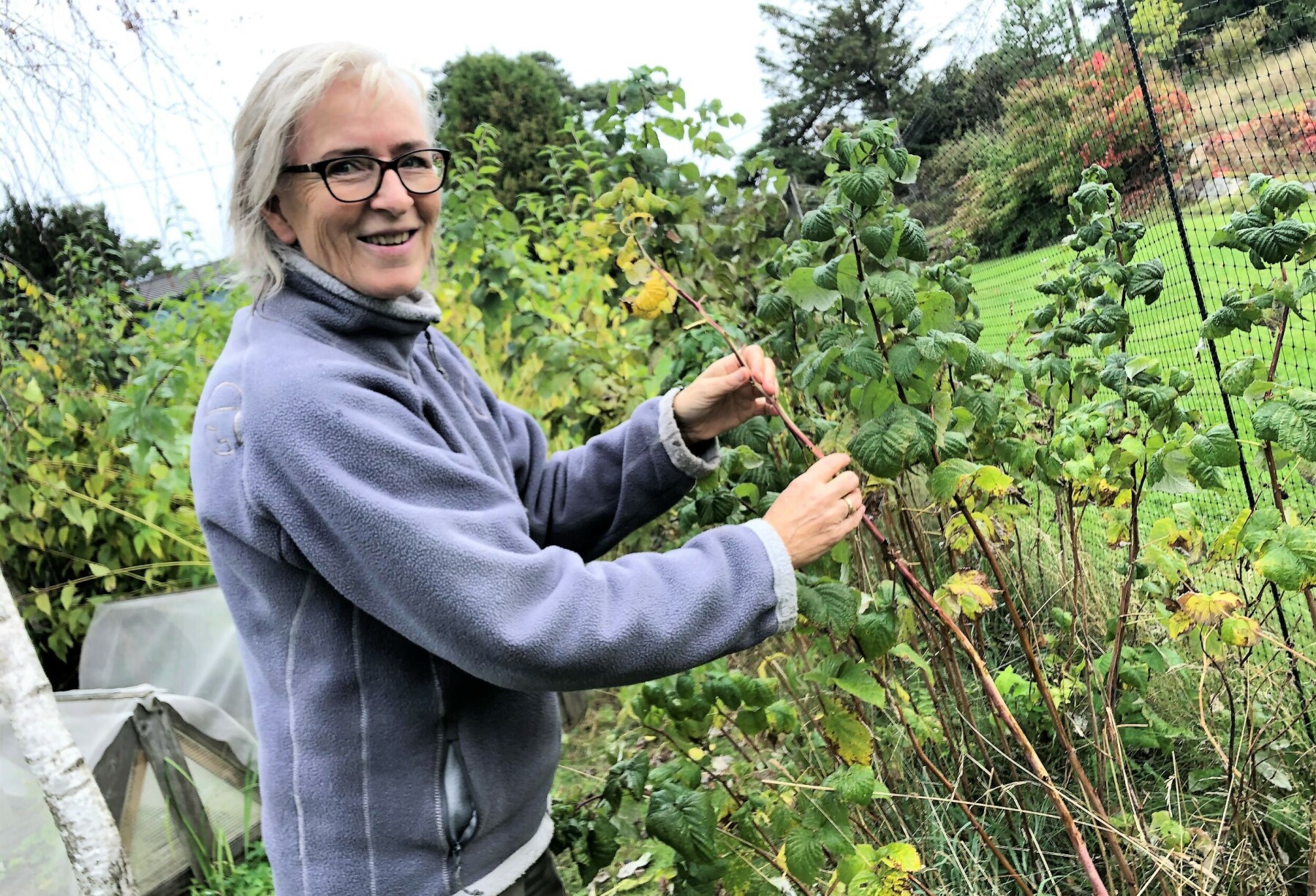Høsten er her, og Anne Marit Skovly ved Hvaler Gjestehage gir deg gode råd om hva du bør gjøre med hagen din nå i høst, og hva som lønner seg å vente med til våren. Høsten er her, og Anne Marit Skovly ved Hvaler Gjestehage gir deg gode råd om hva du bør gjøre med hagen din nå i høst, og hva som lønner seg å vente med til våren.