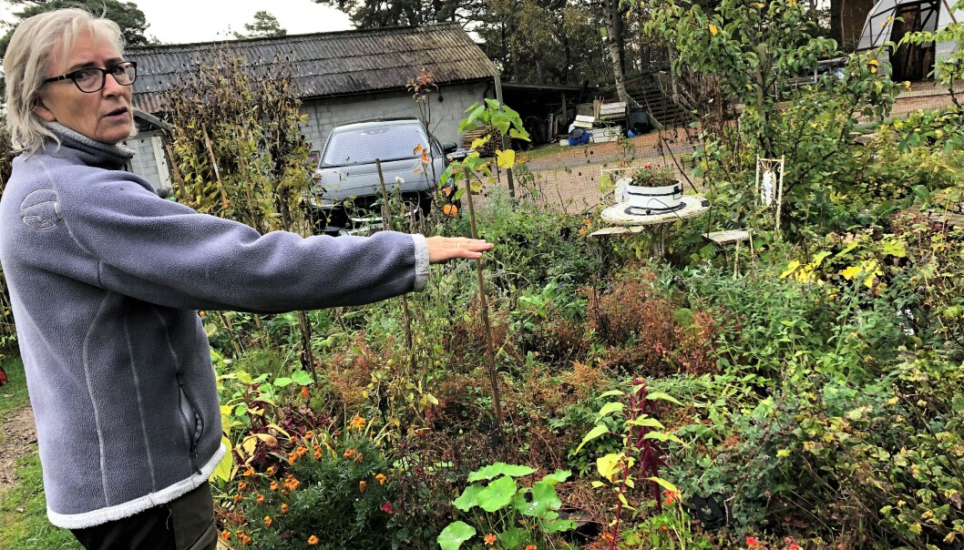Mangfoldet i hagen er viktig. Det holder skadedyrene unna. Mangfoldet i hagen er viktig. Det holder skadedyrene unna.