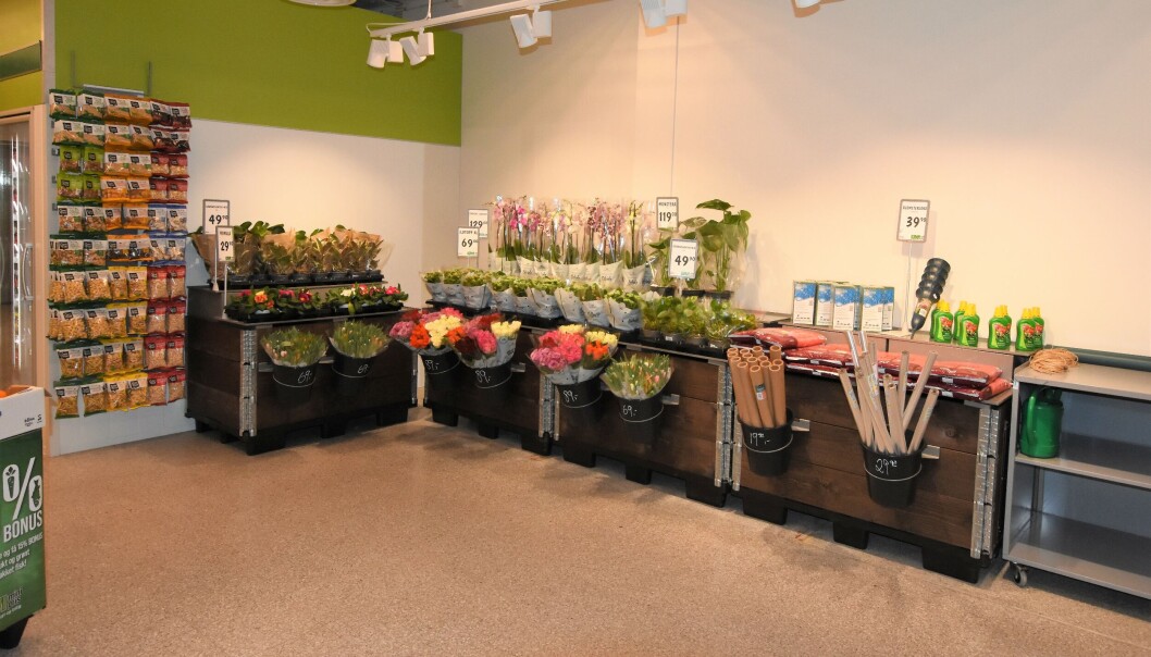 En hyggelig blomsteravdeling rett ved frukten. En hyggelig blomsteravdeling rett ved frukten.