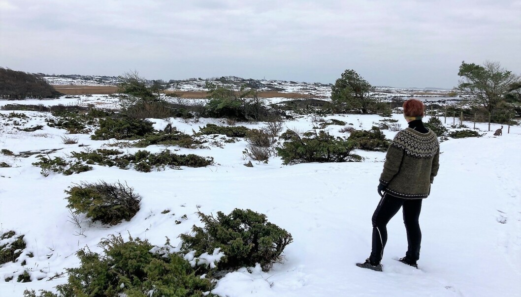 Huser mot Landfasten i desember. Huser mot Landfasten i desember.