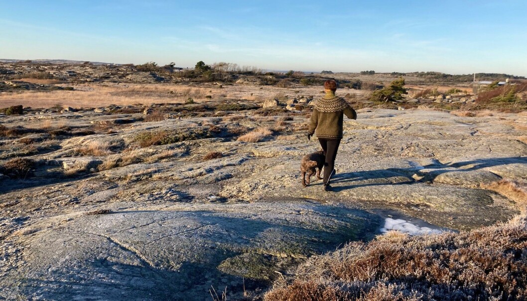 Tursti ved Vikerkilen Tursti ved Vikerkilen