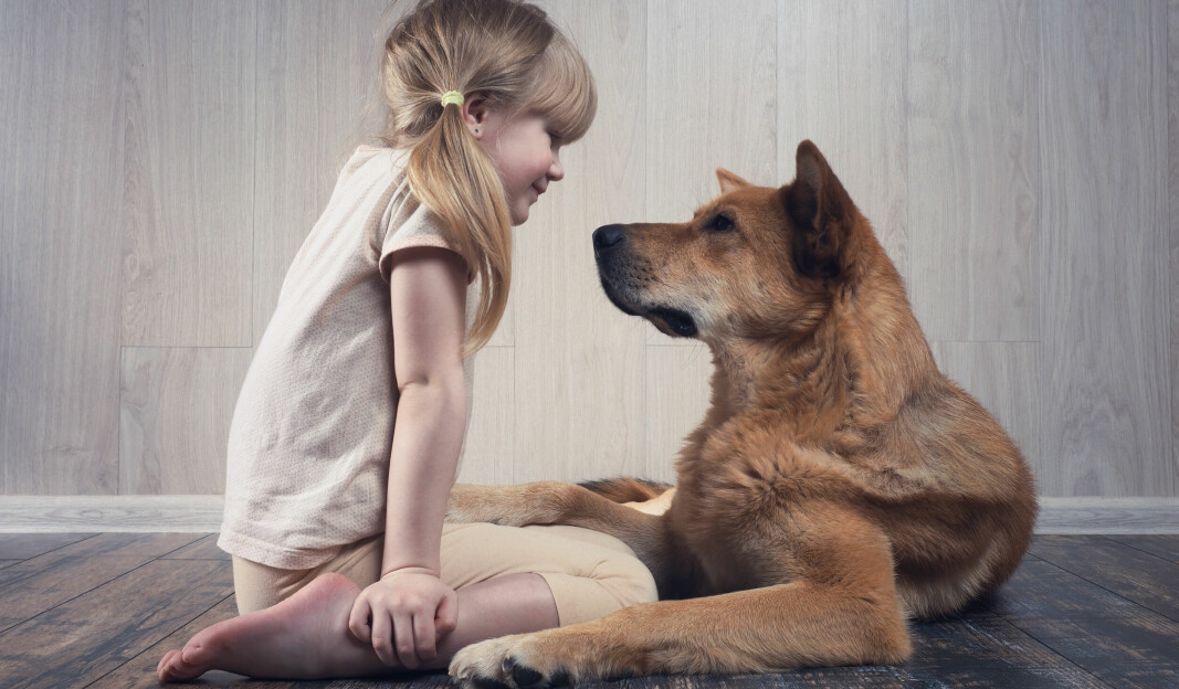 Her kan du lære mer om dyr: Vet du hvor mange ord hunden din kan forstå?
