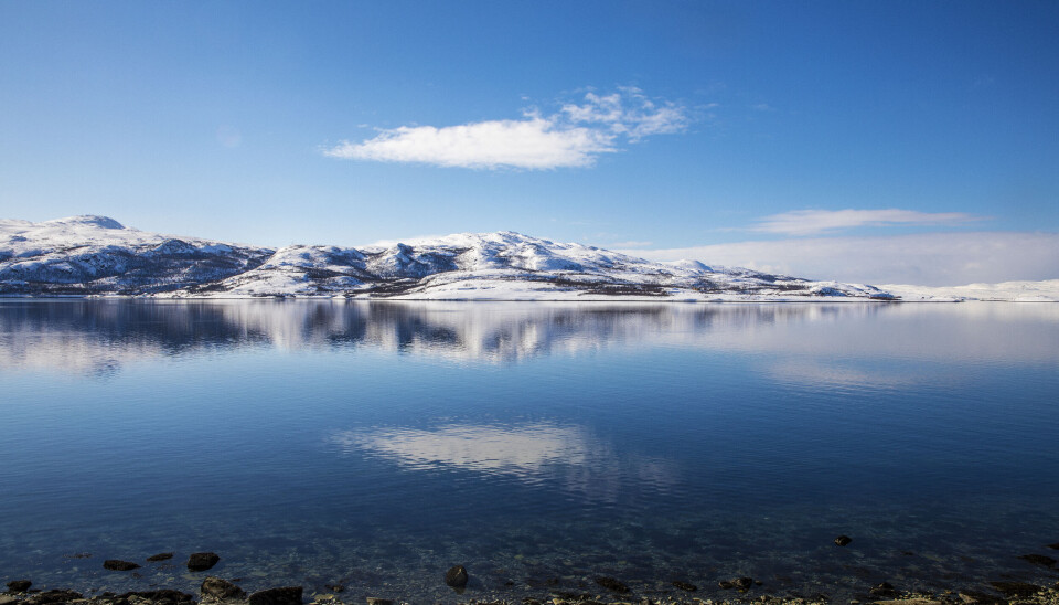 I Repparfjorden i Finnmark har selskapet Nussir ASA har fått driftskonsesjon for en kobbergruve med bruk av sjødeponi for gruveavfall.