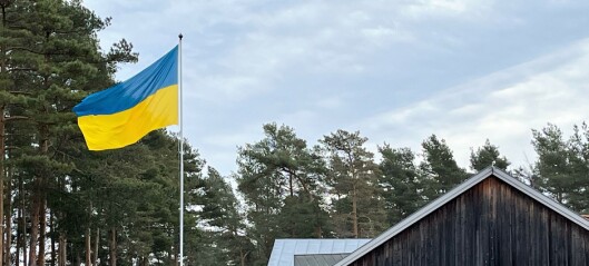 Derfor vaier det ukrainske flagget på rådhuset