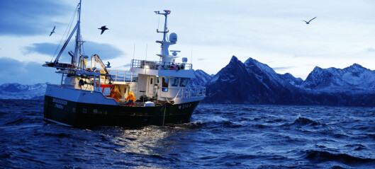 Fiskarlaget frykter for torskebestanden hvis samarbeidet med Russland ryker