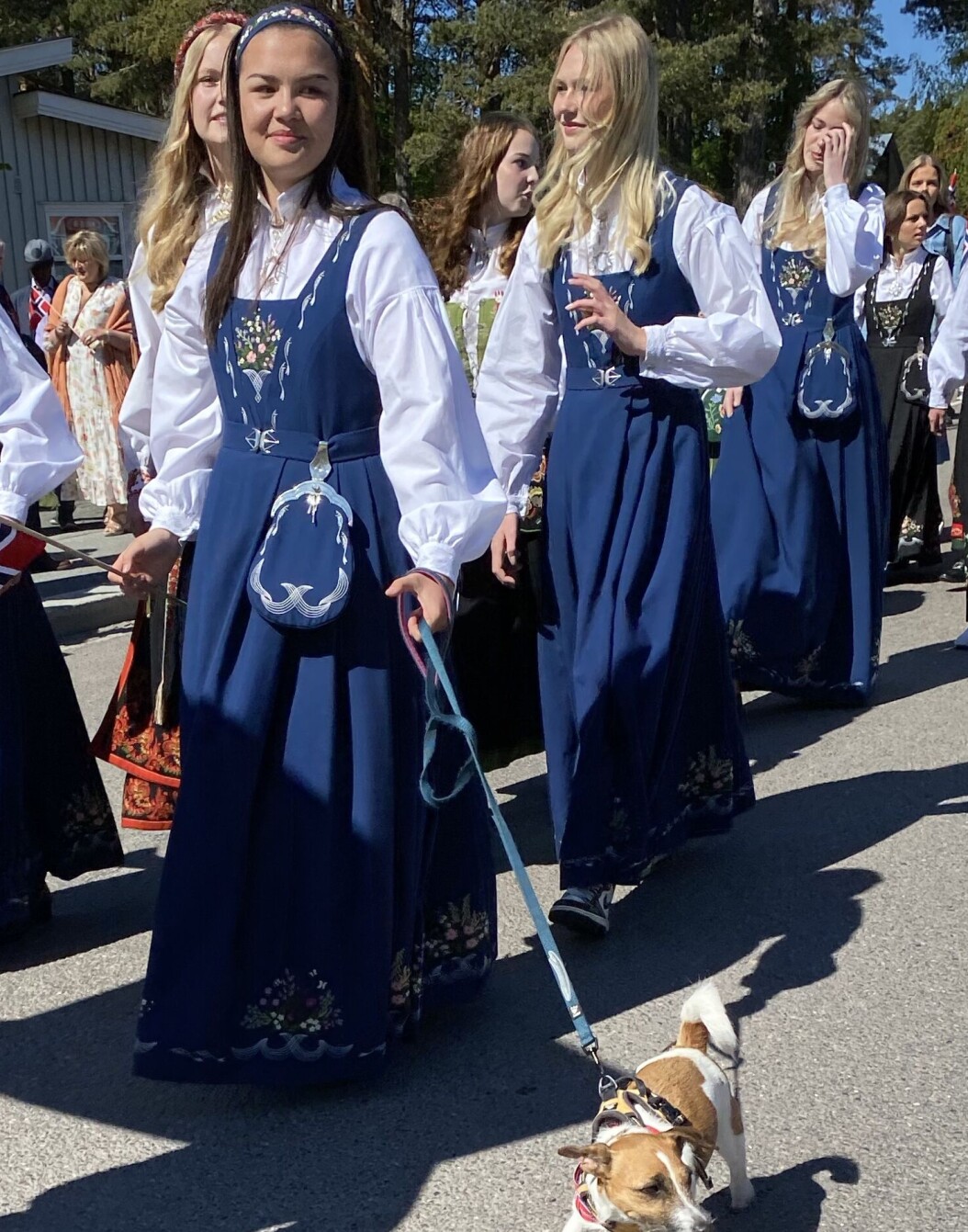 Fra barnetoget. Fra barnetoget.