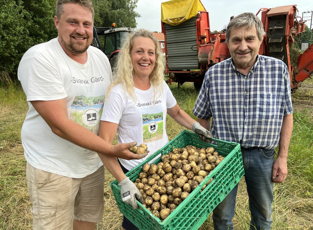 - Finnes ikke bedre poteter, sier Anders Vanekil. Her med søsteren Christine og pappa Arne.