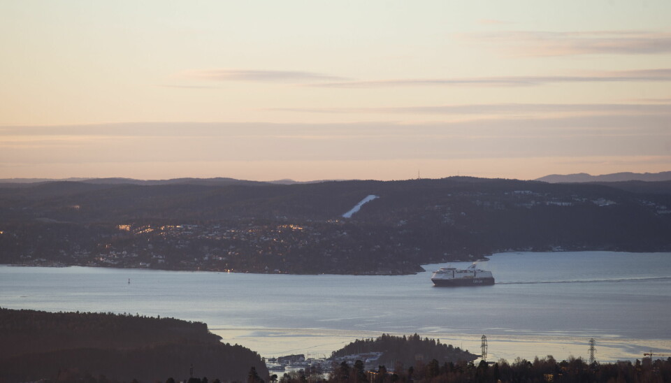 Det er langt igjen før miljømålene for Oslofjorden nås, mener Miljødirektoratet.