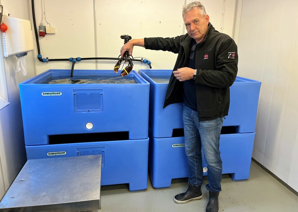 Thoralf Huth ved Skjærhalden Fiskemottak har gått til innkjøp av fire nye oppbevaringskar for hummer på Skjærhalden Fiskemottak. Her skal hummeren få gode levevilkår.