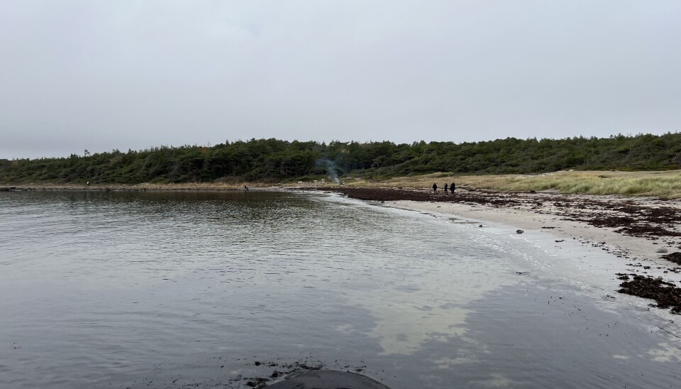 Mange er bekymret for hvordan mudringen vil ramme Hvaler-skjærgården. Mange er bekymret for hvordan mudringen vil ramme Hvaler-skjærgården.