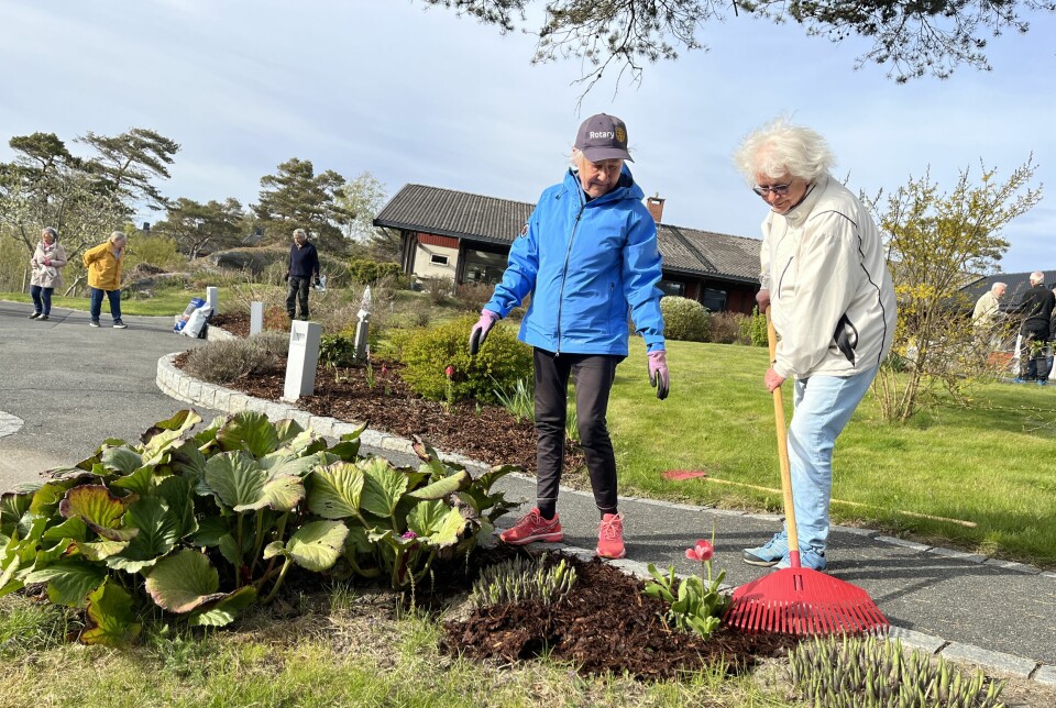 Lisa Rybom og Unn Bjørthun i full sving med å pynte i blomsterbedene i Sansehagen på Dypedalåsen sykehjem.