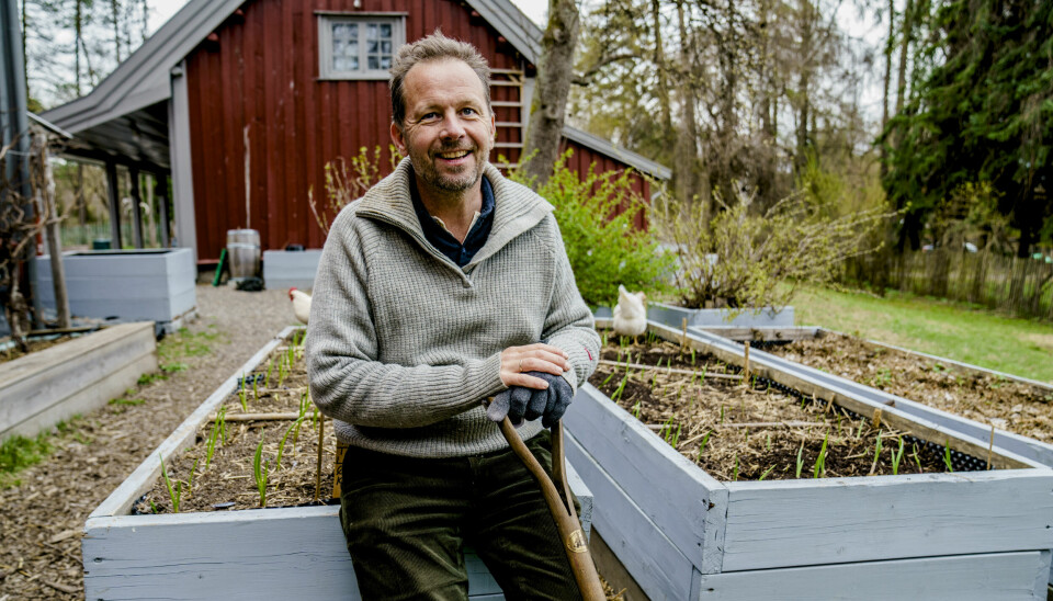 GIR RÅD: Andreas Viestad er en ivrig grønnsakdyrker. I sin nye bok gir han tips til nybegynnere som ønsker å dyrke urter og grønnsaker selv.