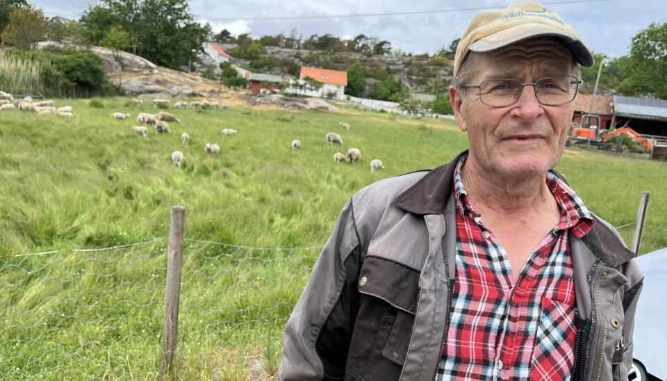 Hans Herman Utgård, varaordfører og ordførerkandidat for Senterpartiet, er forfatter av denne artikkelen.