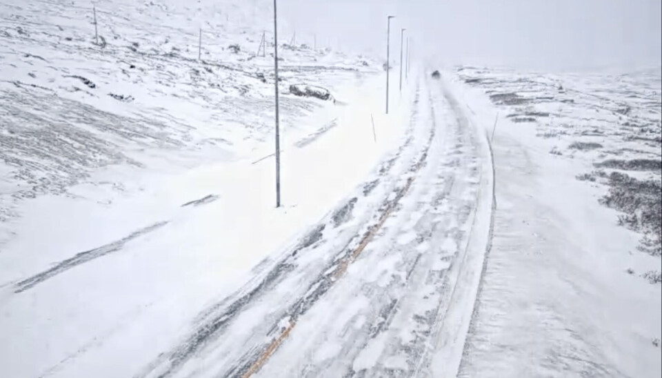 Slik så det ut på riksvei 52 over Hemsedalsfjellet sist helg. Kommende helg kan det bli mer snø på Østlandet.
