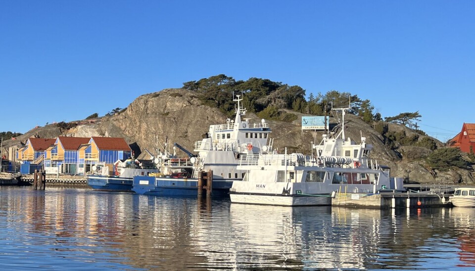 Kollen på Skjærhalden
