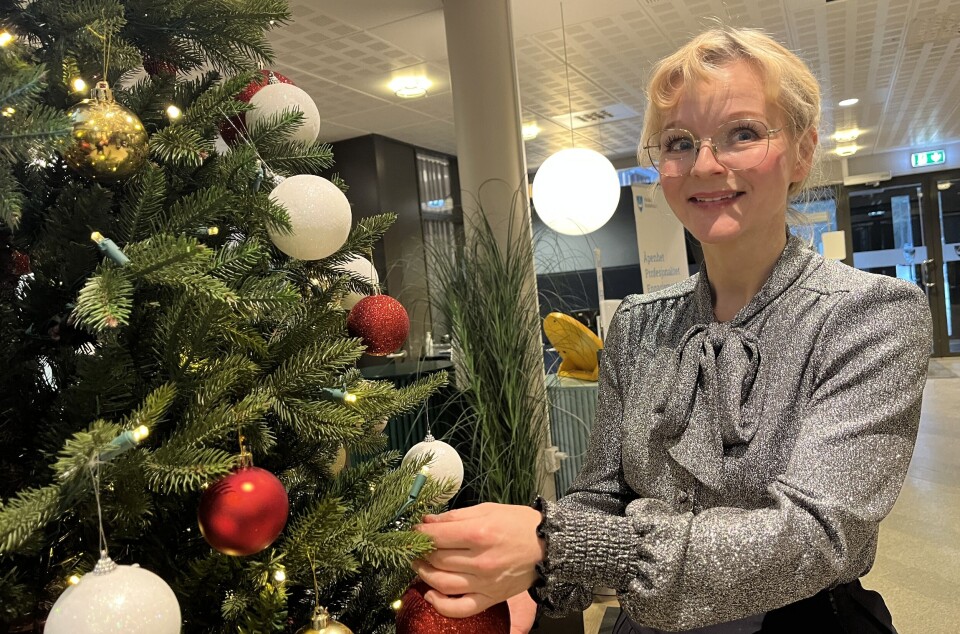 Ordfører Mona Vauger er artikkelforfatter.