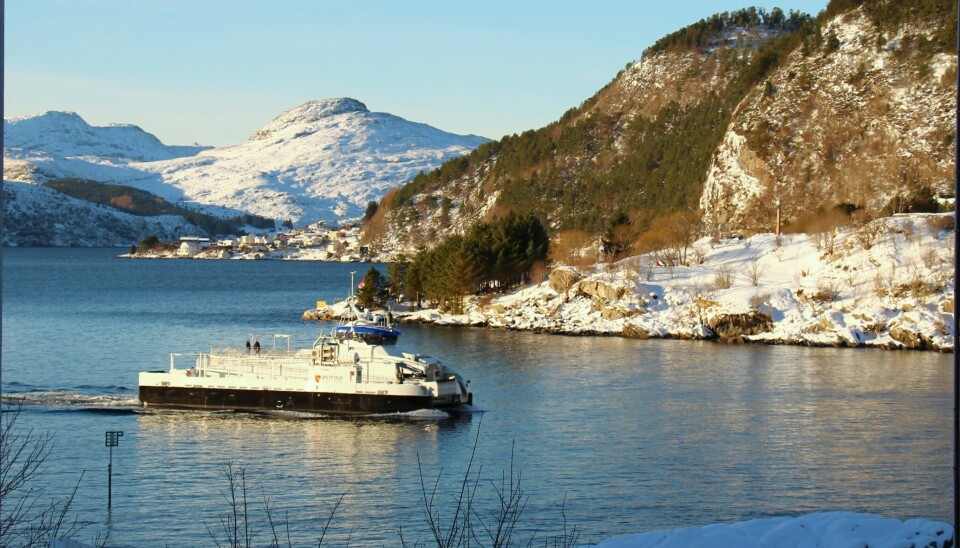 MS Torine på jomfrutur i Nordfjord.