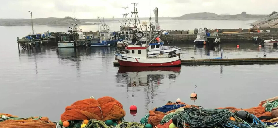 Når skal fiskerne få de samme rammebetingelsene som landbruket, spør Ragnar S. Thorkildsen i denne kronikken.