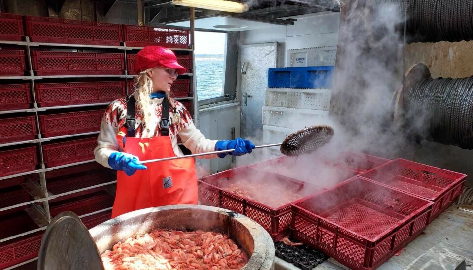 Ordfører Mona Vauger er ikke nådig mot egne partifeller i regjeringen, etter at statsministeren lanserte totalforbud mot fiske i Oslofjorden.