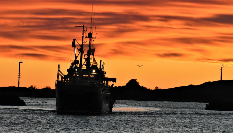 Artikkelforfatter Hans Herman Utgård kommer med faktaopplysninger rundt fiskeriet i Oslofjorden.