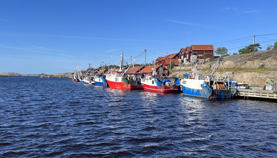 Det er store hull i forskningen på effekten av bunntråling, mener Ragnar S. Thorkildsen, artikkelforfatter.