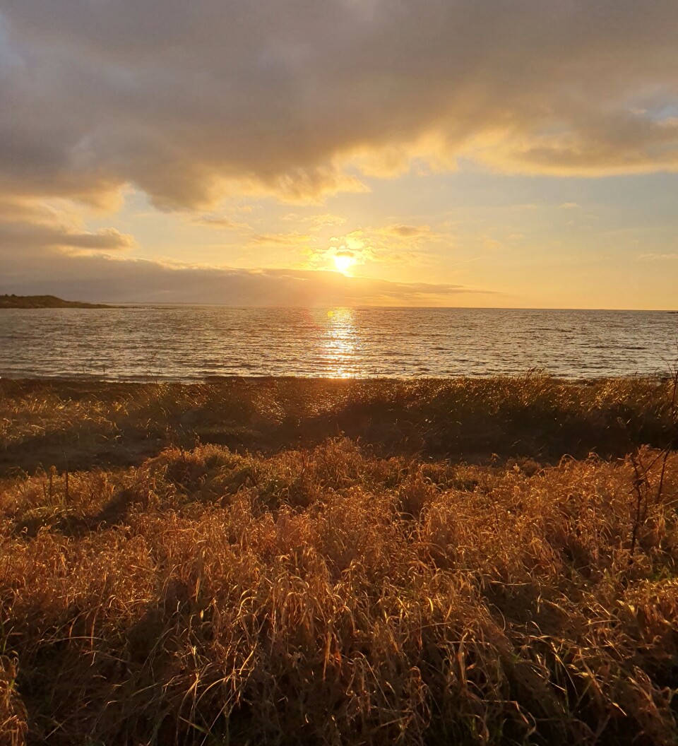 Mer idyllisk kan det vel knapt bli?
