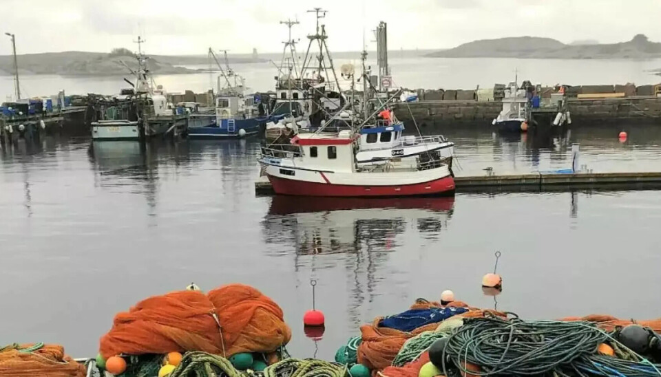 Begynn med å se på utslippstillatelser - ikke skyld på fiskerne, skriver Ragnar S. Thorkildsen i denne kronikken.