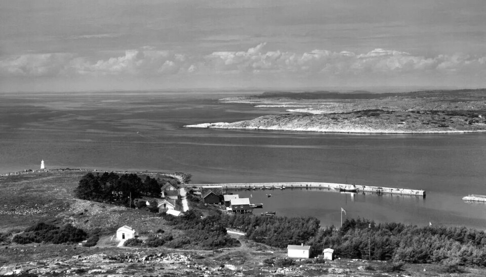 Moloen i Brattestø havn 1957