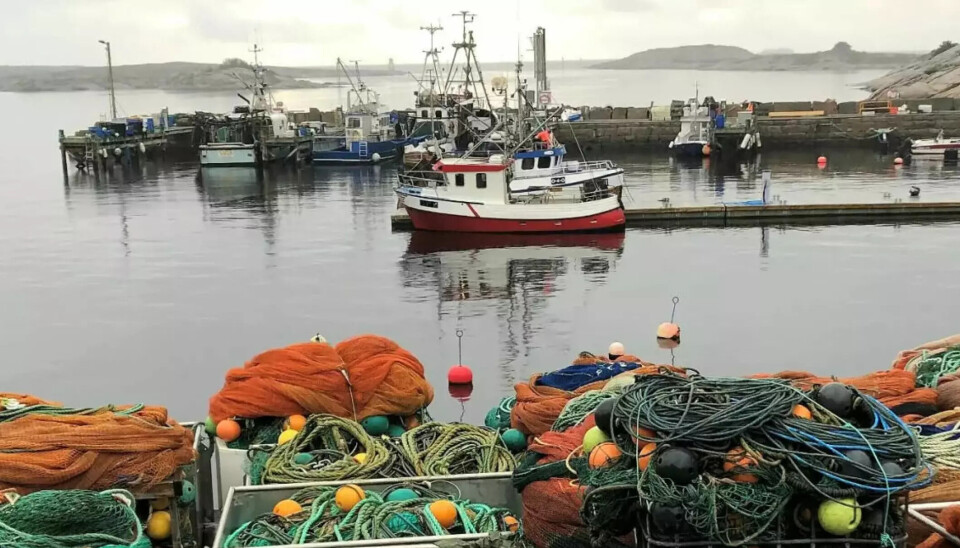 Hvaler Høyre står bak denne kronikken, som er et innspill til høringen om fiskeriene i Oslofjorden.