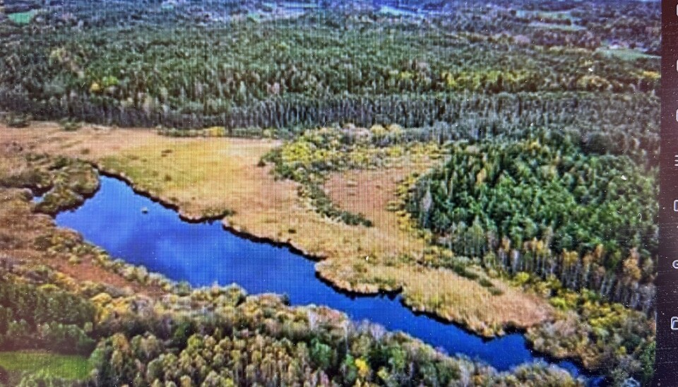 Dronefoto av Arekilen