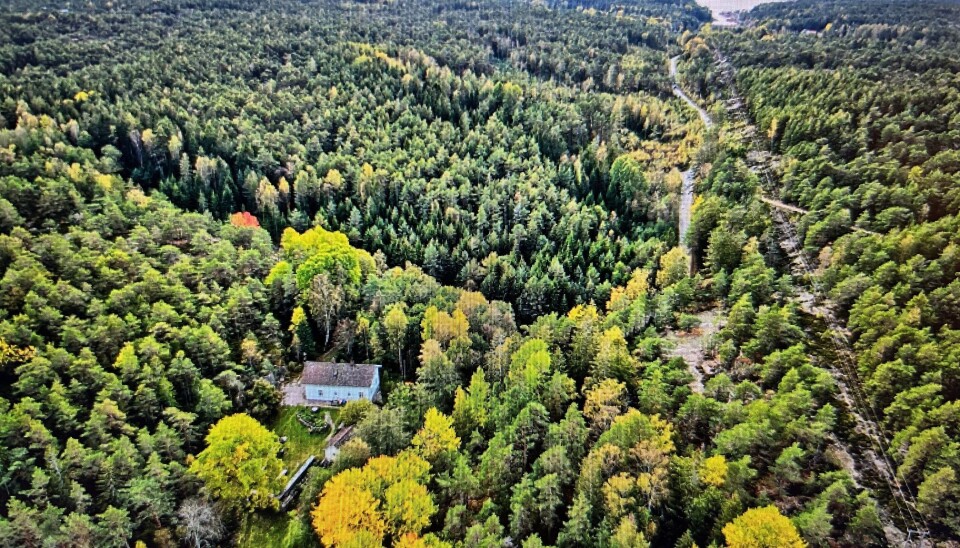 Dronefoto av Dammyr skole i Korshavn.