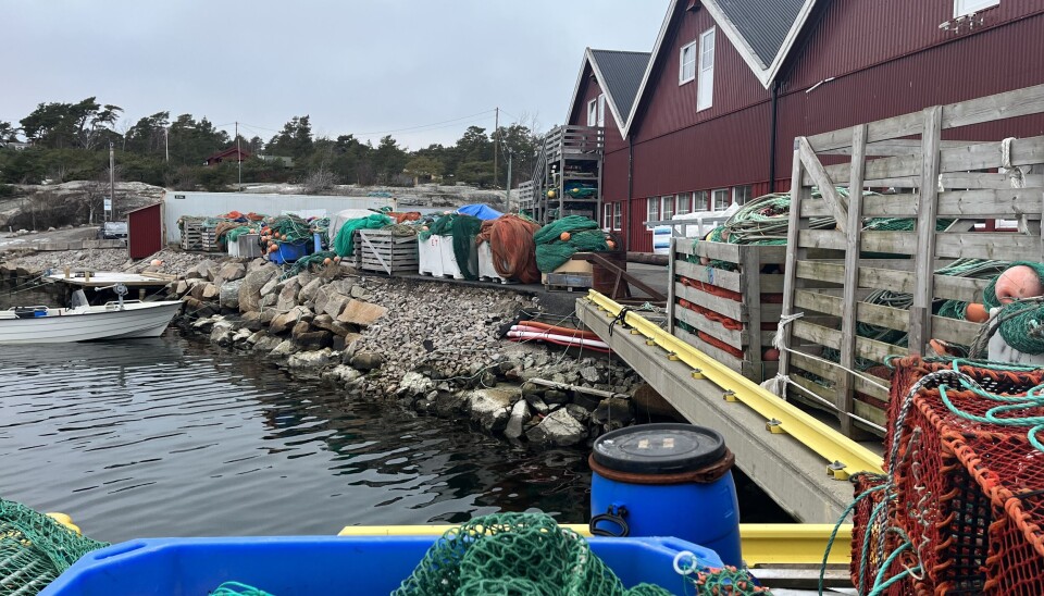 Kronikken fra Ragnar S. Thorkildsen tar for seg synspunkter om bunntråling.