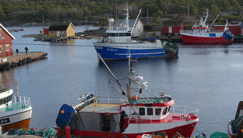 Snart risikerer vi at denne havna ligger tom og øde, uten arbeidsplasser på Fjordfisk eller trålverkstedet.