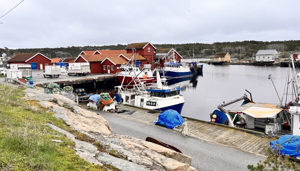 Kommunestyrerepresentant Bjørn Tore Kjølholt mener de politiske partiene på Hvaler har sviktet i stridsspørsmålet om innføring av nullfiskesoner.
