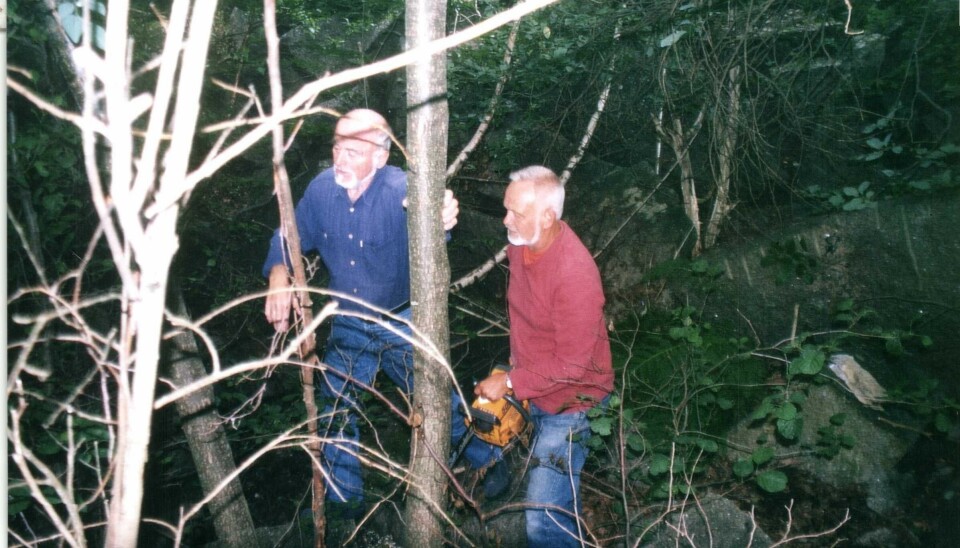 Jan Arntzen og Paul Henriksen feller de første trærne i Brottet tidlig i 2004.