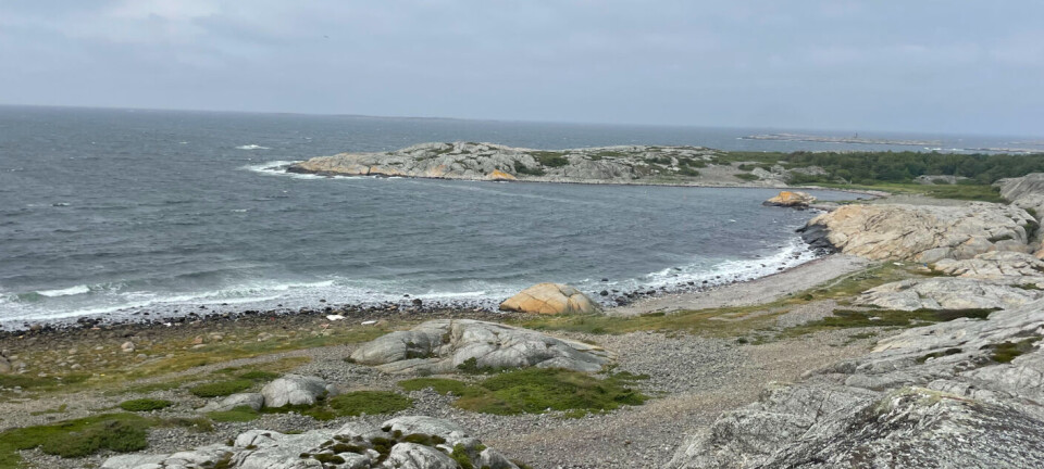 Nyheter