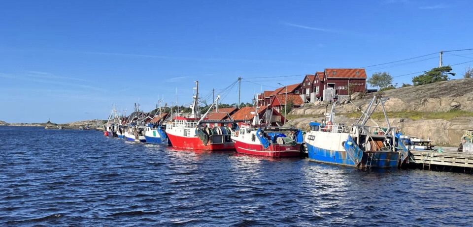 Ragnar S. Thorkildsen er forfatter av denne kronikken, som omhandler vanskelig materie om marin forskning.
