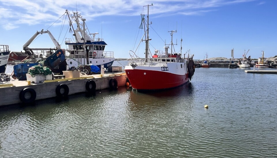 Ragnar S. Thorkildsen er forfatter av kronikken om fiskerikampen på Hvaler. Bildet er fra Utgårdskilen.
