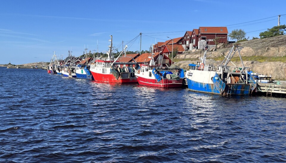 Fiske/Forskningsfartøyer under 11 meter m være en euforisk drøm, mener Ragnar S. Thorkildsen i denne kronikken.