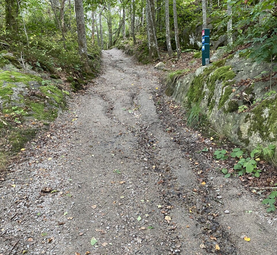 Sti fra parkeringen: Når det regner renner sanden vekk, om vinteren er stien en issvull.