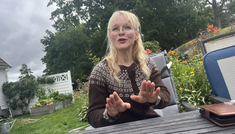 Ordfører Mona Vauger svarer Knut Martinussen i denne kronikken.