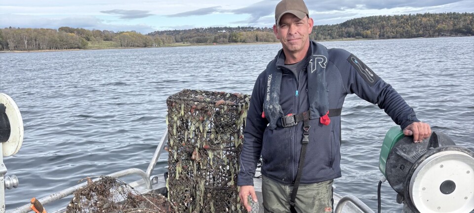 Mange mistet fiskeredskapene sine under stormen 'Amy': Elv og Hav rydder opp