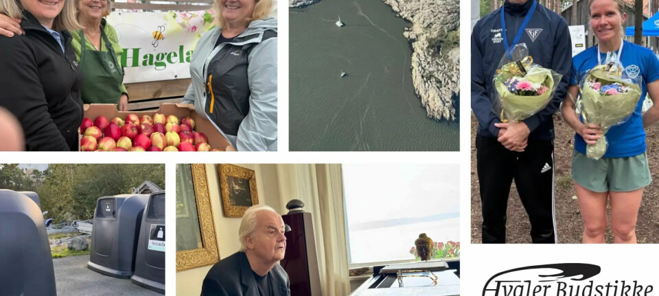 Hvaler-quiz