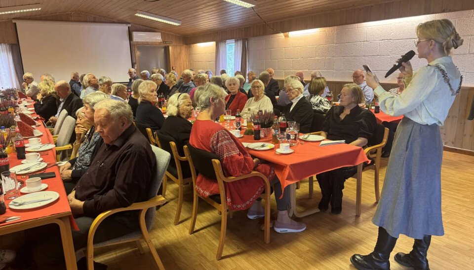 Per Børmarken stiller en rekke spørsmål i denne kronikken, hvor han reagerer sterkt på en artikkel i Fredriksstad Blad.. Bildet er tatt på eldredagen i Hvaler.
