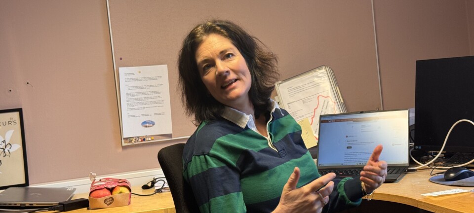 Ekstra penger til bemanning i barnehagene på Hvaler